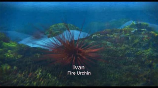 Ivan | Day 445 #surf #sea #seaurchin #coralreef #ivan #blue #dancing #surfsup #surfboard #chillvibes #nostalgia #daily #beach #radical #animated #cool | Instagram