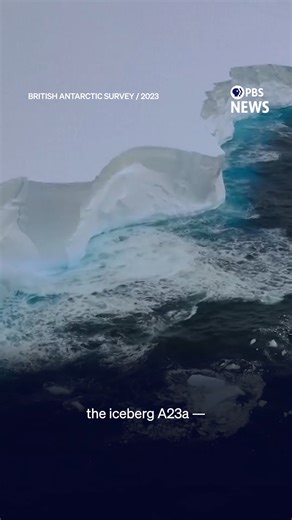 177K views · 4.8K reactions | The world's largest floating object,...