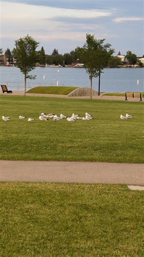 Discover the Beauty of Chestermere Lake