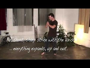 The 13 Postures - 8 Techniques, Yangjia Michuan Taijiquan