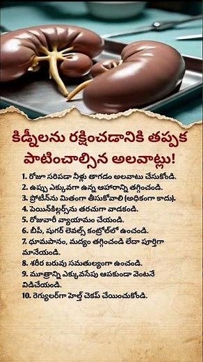 10 Daily Habits to Keep Your Kidneys Healthy | Kidney Care Tips