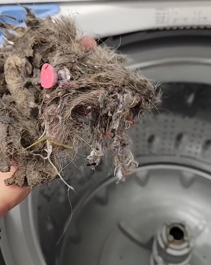 You can’t see it, but your washer could be harboring hidden bacteria and mold that transfer onto your clothes. This isn’t just about clean laundry, it’s about protecting your health - especially your lungs. The air you breathe, from the clothes you wear, could be impacted by lingering buildup in your washer. Uproot Washing Machine Cleaner Tabs give your washer the deep clean it needs to protect you from invisible dangers. Clean your machine, protect your lungs, and feel fresher every day. | Sama