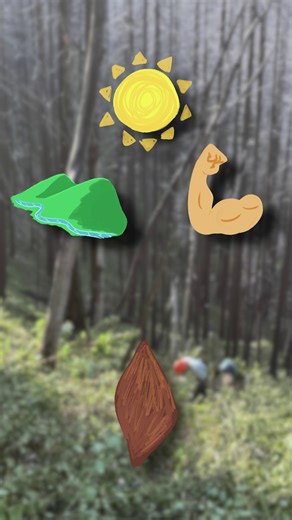 2.1K views · 54 reactions |  In FY 2025, the BLM planted an impressive 5.5 million trees across America’s public lands. This large-scale reforestation effort supports ecosystem restoration, enhances biodiversity, and strengthens local communities. Through active land management the BLM is helping ensure our forests can thrive for generations to come! | BLM Oregon & Washington | Facebook