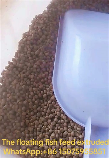 Feed equipment factory on TikTok