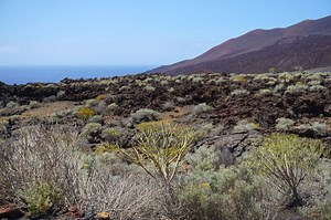 La Gomera (Canary Islands): best things to do [with map] - RandomTrip