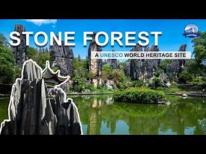Exploring Stone Forest Kunming I UNESCO Site You Must Visit in China I Aether Tours