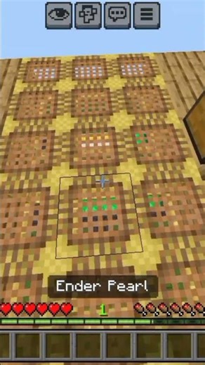 Ender Pearl Clutch 🥶