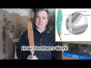 How Feathers Work