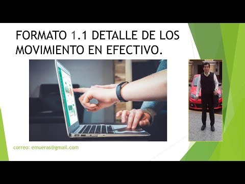 FORMATO 1.1 DETALLE DE LOS MOVIMIENTO EN EFECTIVO-LIBRO CAJA