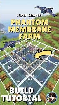 Phantom Membrane Farm in Minecraft - Never Hunt Phantoms Again