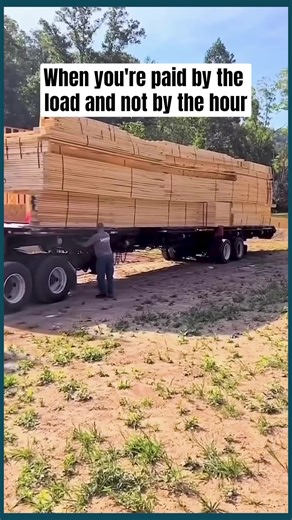 CSL Construction on TikTok