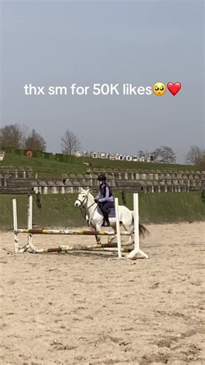 and more than twice as many followers in a week✨💞 (700 ) thank you smmm #equestrian #equestrianlife #showjumping #springen #reiten