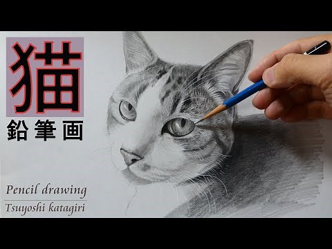 【鉛筆画】猫をリアルに鉛筆デッサンするポイント「描き方、コツ」/pencil drawing
