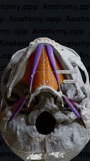 The best way to ace your exams! 🚀