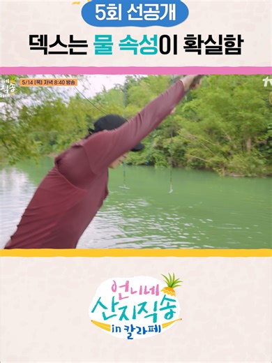 [선공개] 시원한 타잔 스윙 보여줄게🌊🌊 언니네 첫 해외 직송 도전기! tvN [언니네 산지직송 in 칼라페]🍍 *무단 전재, 재배포 및 AI학습 이용 금지* #tvN #언니네산지직송in칼라페 #염정아 #박준면 #덱스 #김혜윤 #즐거움엔20tvN #스트리밍은TVING #티빙에서스트리밍
