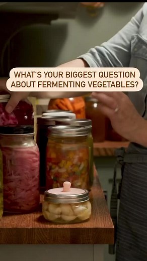 What’s your biggest question about fermenting vegetables? This September, I'll share practical tips and actionable steps to help you feel confident to make kraut, pickles and so much more at the Traditional Skills Summit. https://www.schooloftraditionalskills.com/?_ef_transaction_id=&oid=1&affid=11 I’m SO excited to speak at this event AND I’m even more excited because this summit makes self-sufficiency accessible to everyone! The ticket costs $0. Yep. NO COST to attend! PLUS… I’ll be sharing th