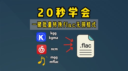 20秒学会，将各种音乐平台下载的音乐转成flac无损格式。