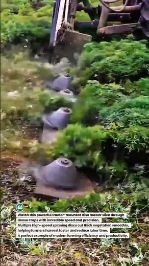 Mega Disc Tractor Mower Cutting Thick Crops Fast 🚜🌿 #TractorPower #FarmTech #AgriMachinery