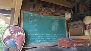 The Best Jungle Cruise Puns Guaranteed to Make You Groan Out Loud - Steps to Magic