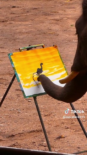 Exploring the Magic of AI Innovations