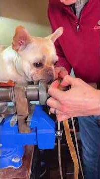 How to braid rawhide! #leatherwork #leathercraft #leathercrafts