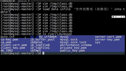 千锋Linux教程：MySQL_第三天_25_备份工具mysqdump