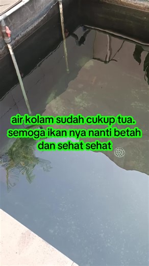 engkis.kristian on TikTok