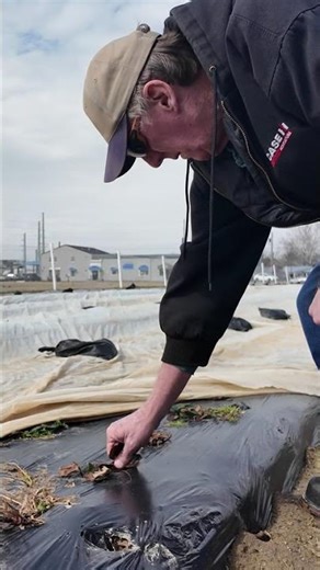 Farmers welcome warmer weather but warn of early bloom risks