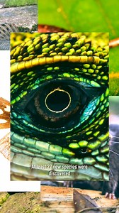 3.5K views · 25 reactions | Trudging through swamps, lagoons and...