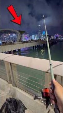 I Went Night Fishing In Hong Kong During A Laser Light Show #fishing #fishingvideos