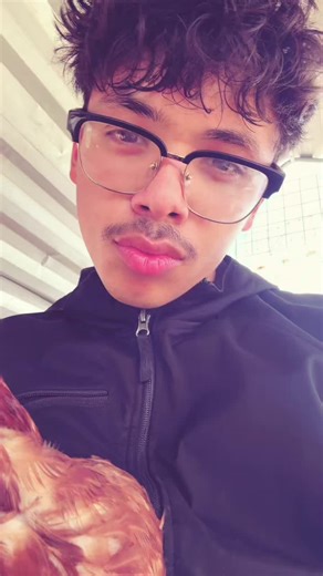 Francisco.The.Creator (@francis.the.creator)’s videos with Let 'Em In - 2014 Remaster - Paul McCartney & Wings