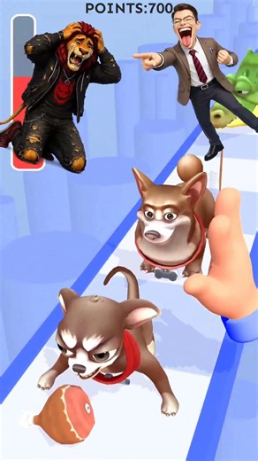 Pet Care Run 3D Teacher 😉 #shorts​ #gaming​ #youtubeshorts​ #games ##jscgaming