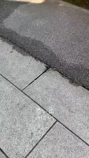 #思い出 いつも守って頂きありがとうございます。 #恵比寿神社 #dish #恵比寿物語