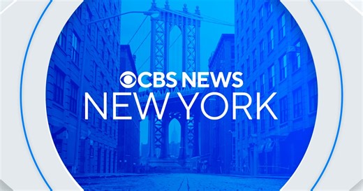 Judge blocks NYPD from firing dozens of rookie officers for now