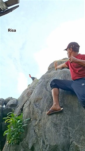 decorative chicken catapult on a rock #nature #shortvideo #fypシ