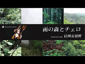 Rainy Forest and Heartwarming Cello, Shinshu Azumino Japan (Nature Images and BGM )