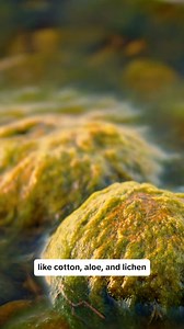 13 reactions · 10 comments | Get a deodorant with ingredients that don't stink. ✅ Aluminum free  Naturally derived ingredients  Refreshing, masculine scents 喙 Dermatologist tested 礪 Made in the USA ️ 20% Off for new customers with code GETCLEAN20 | Every Man Jack | Facebook