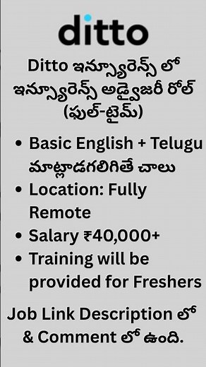 Ditto Insurance Advisory Recruitment 2025 – Multi-Lingual English & Telugu (Remote Role)