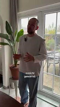 Intratuin - Plant EHBO - Standplaatsen kamerplanten uitgelegd