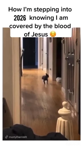 Sudarshan Paul on Instagram: "Type Amen if you believe!!! Follow @christian_for__life for more posts . Credit: @mortythemisfit . #christianforlife #Devotional #dailydevotional #christian #christianwomen #christianwedding #christianpage #biblejournaling #bibleverse #bible #dailyverse #worship #church #dailybibleverse #biblequote #biblequotes #testimonials #testimony #testimonial #newtestament #oldtestament #christianapparel #christianathlete #godlovesyou #godlovesme #christians #christianchurch #