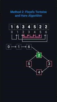 Find the Duplicate Number | Interview Must-Know