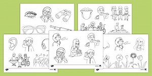 My Senses Colouring Pages