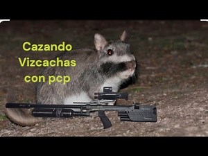 Caza de vizcachas con pcp rti prophet 6.35