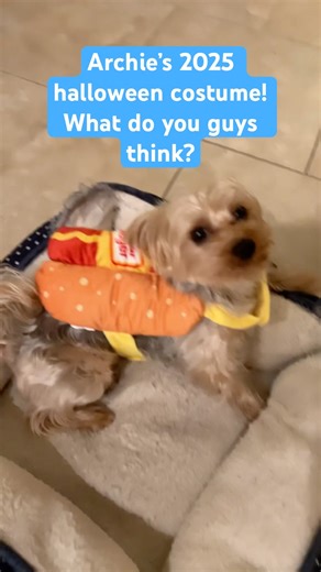 Little hot dog Archie!