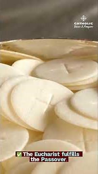 What Do the Jews Get Wrong About Catholicism? | Catholic Truth Explained