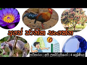 අපේ ජාතික සංකේත | Ape Jathika Sanketha | පරිසරය | අපි ලක් වැසියෝ | grade 04