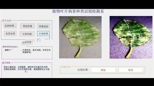 Matlab植物叶片病虫害识别系统（基于VGG19） • 精准识别病害： 使用深度学习VGG19模型，支持番茄、苹果等多种作物，识别38种病害（如白粉