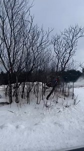 what else is there to do in this situation? 😏🚌 🛷: Adam Peterson 🤳: Josh Rau | Red Bull