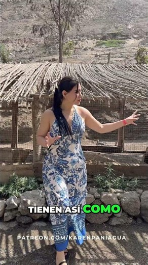 Poultry Farm: Exotic Chickens and Fresh Eggs #shorts