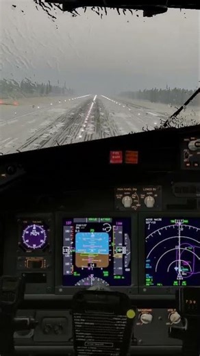 737 landing in a thunderstorm #shorts #boeing737 #boeing